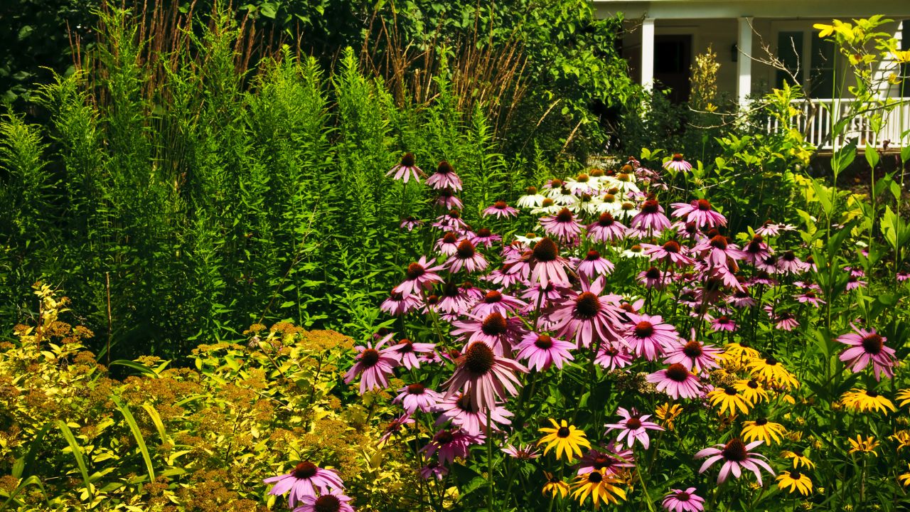 containers for herb gardening