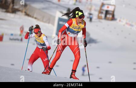 downhill skiing equipment