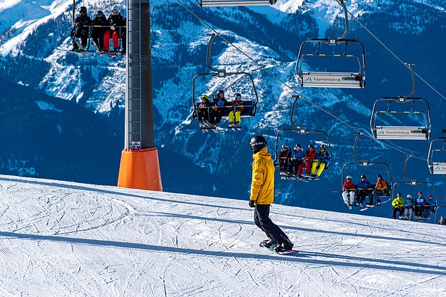 alpine skiing facts