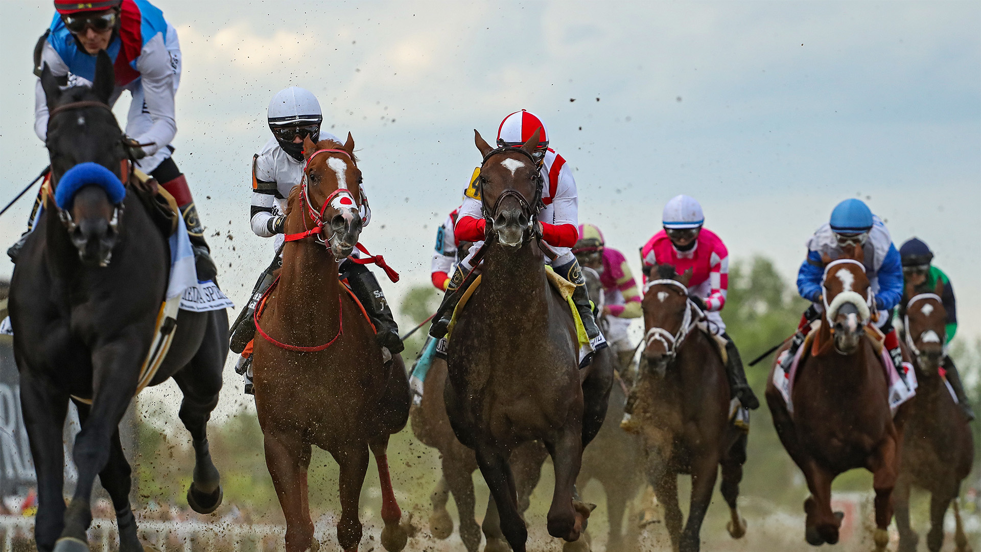 horse racing bet online