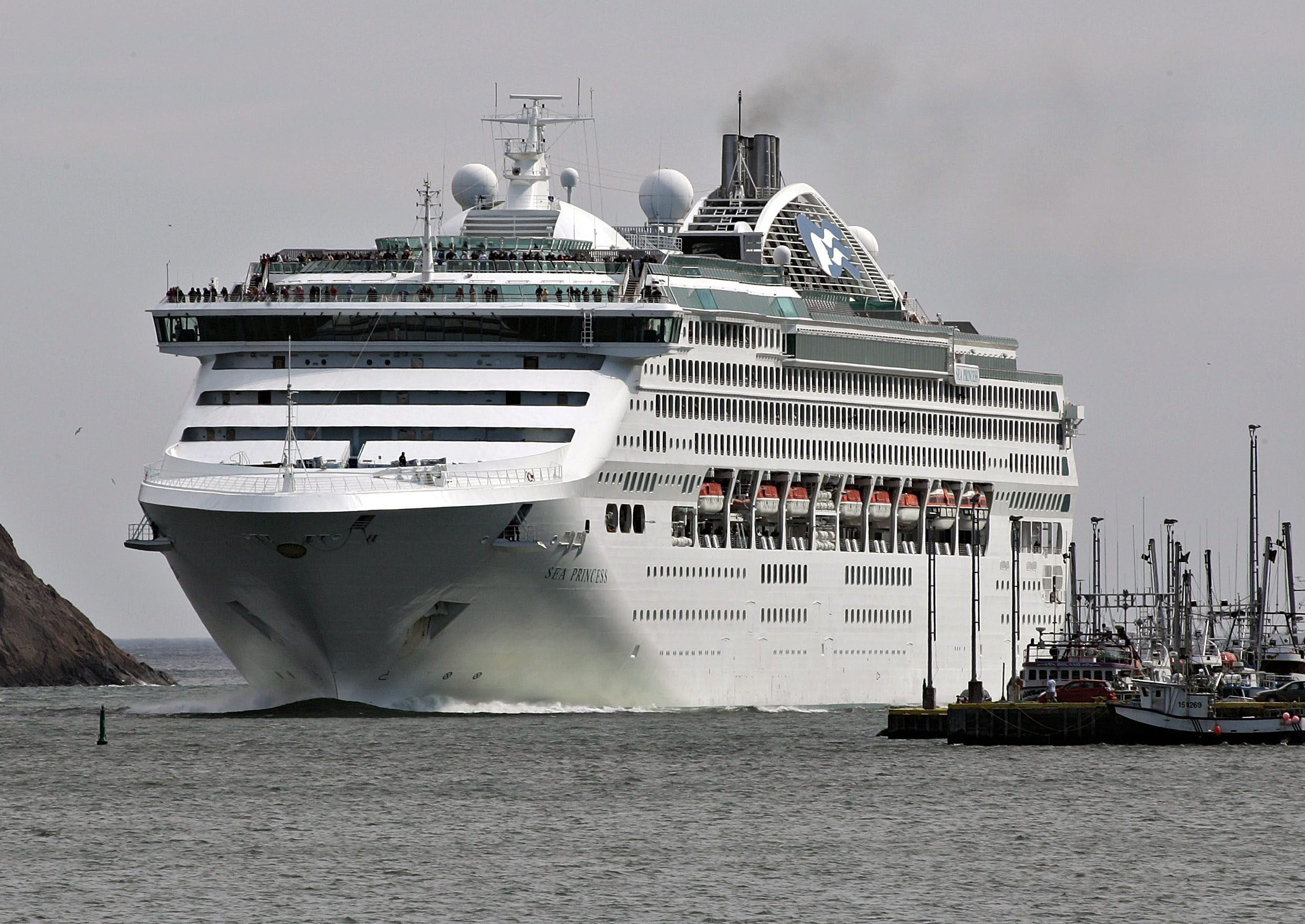 cruise lines