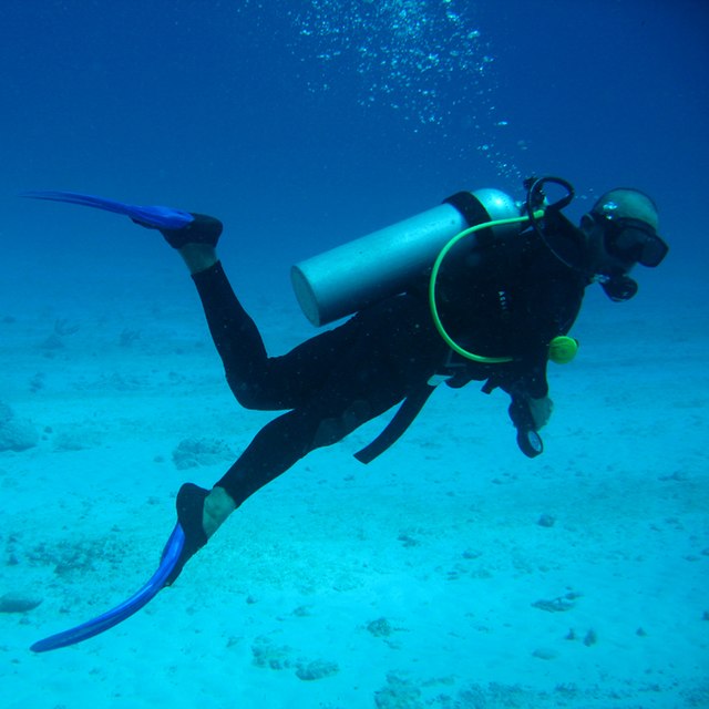 fin diving