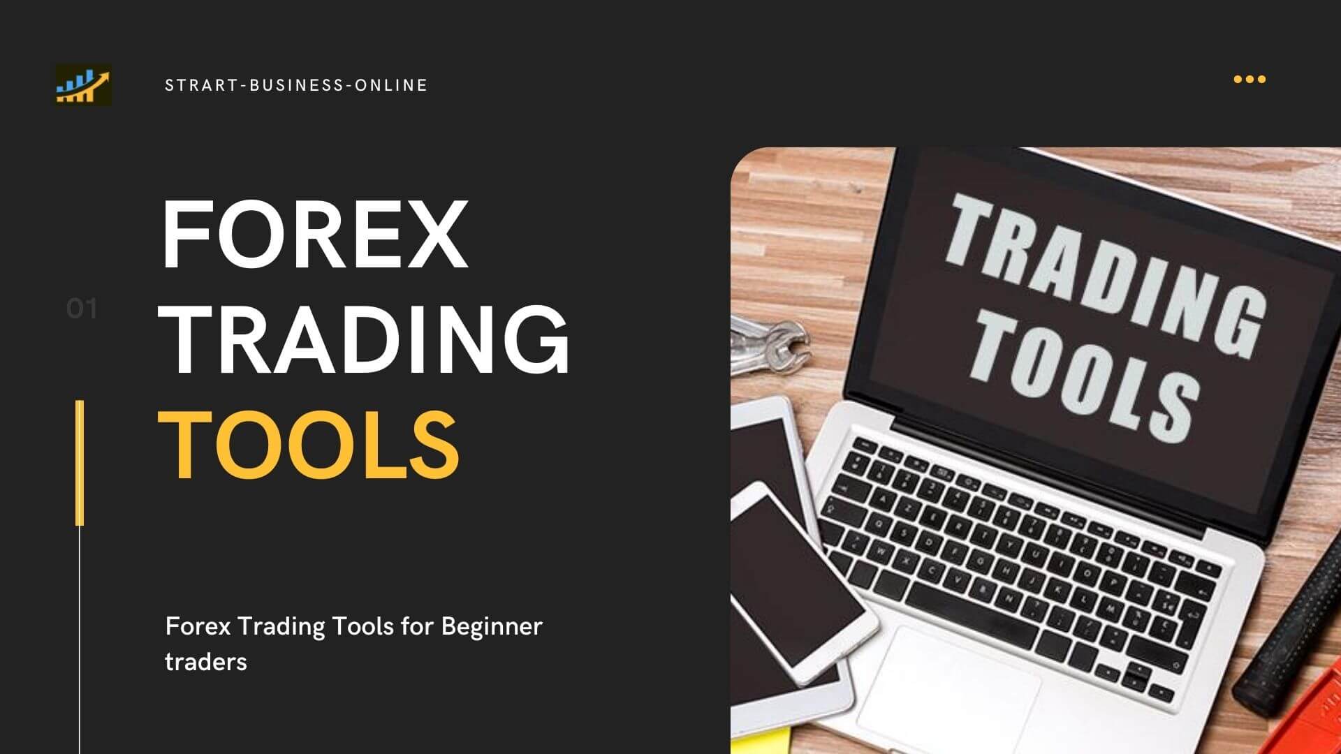 what is forex trader