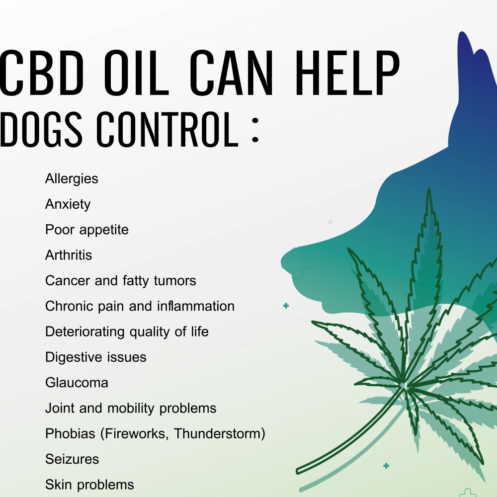 what does cbd do to the brain